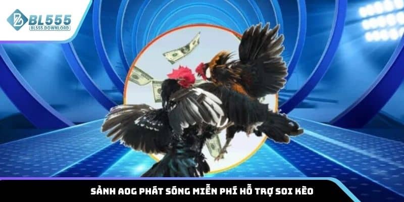 Sảnh AOG phát sóng miễn phí hỗ trợ soi kèo